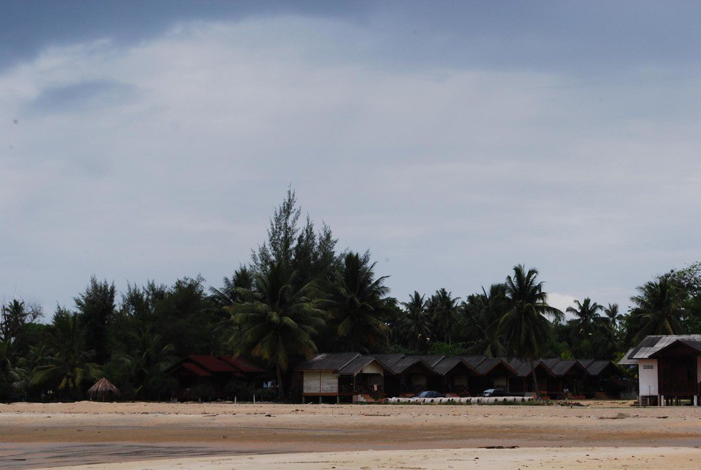 Coconut palms lining the beachfront at Cherating, where the chalets sit